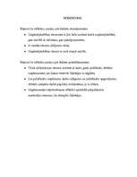 Referāts 'Resursu organizēšana uzņēmējdarbībā', 22.