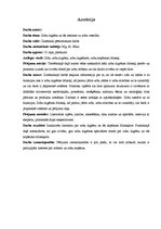 Referāts 'Zobu higiēna un tās ietekme uz zobu veselību', 2.