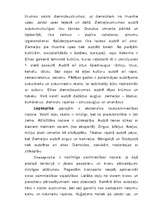 Referāts 'Ķīna', 4.