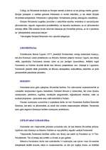 Referāts 'Romas līgumi', 7.