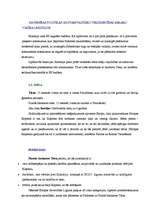 Referāts 'Romas līgumi', 12.