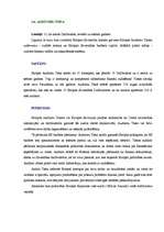 Referāts 'Romas līgumi', 14.