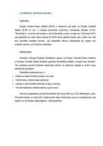 Referāts 'Romas līgumi', 17.