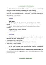 Referāts 'Romas līgumi', 18.