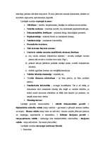 Konspekts 'Zinātniskās un lietišķās valodas paveidi', 3.