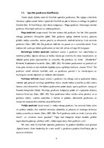 Referāts 'Sabiedrisko attiecību pasākumu organizēšana korporatīvas komunikācijas aģentūrā ', 8.