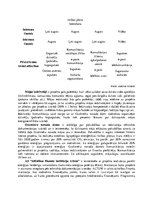 Referāts 'Energoefektivitātes paaugstināšanas pasākumi daudzdzīvokļu mājai Ozolniekos, Mel', 13.