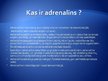 Prezentācija 'Atkarība no adrenalīna', 2.