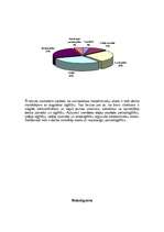 Referāts 'Bezdarba līmenis Valmierā un Valmieras rajonā', 9.
