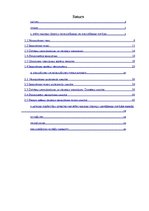 Diplomdarbs 'Efektīva brīvo līdzekļu ieguldīšana', 2.