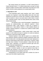 Diplomdarbs 'Efektīva brīvo līdzekļu ieguldīšana', 6.