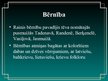 Prezentācija 'Rainis', 4.