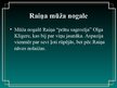 Prezentācija 'Rainis', 12.