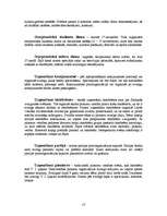 Referāts 'Sadzīve Latvijā padomju laikā. Padomju laiku svētki un tradīcijas', 13.