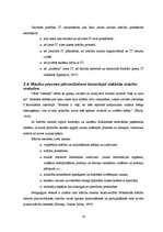 Diplomdarbs 'Informāciju tehnoloģiju izmantošanas iespējas mājturības stundās', 19.