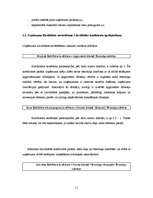 Referāts 'Likviditātes rādītāji, maksātspējas noteikšana', 11.