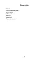 Referāts 'Sekmīga uzņēmējdarbība', 2.