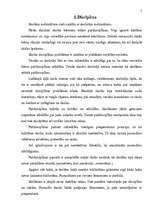 Referāts 'Disciplīnas ietekeme uz skolēnu sekmību', 5.