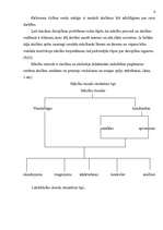 Referāts 'Disciplīnas ietekeme uz skolēnu sekmību', 6.