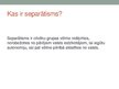Prezentācija 'Etniskais seperātisms', 2.