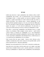 Referāts 'Ogres uzņēmējdarbības vides uzlabošanas vadlīniju izstrāde', 4.