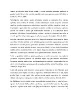 Referāts 'Ogres uzņēmējdarbības vides uzlabošanas vadlīniju izstrāde', 11.