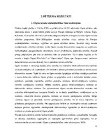 Referāts 'Ogres uzņēmējdarbības vides uzlabošanas vadlīniju izstrāde', 16.