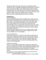 Konspekts 'Bērnu apdāvinātība', 2.