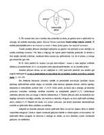 Referāts 'Skolotāja loma apdāvināto vai talantīgo bērnu potenciāla attīstībā', 7.