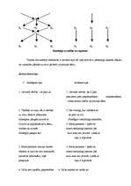 Referāts 'Retorika', 16.