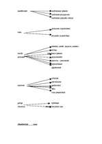 Referāts 'Retorika', 19.