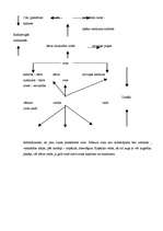 Referāts 'Retorika', 22.