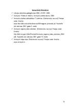 Referāts 'Ventspils pilsētas socioloģiskais raksturojums', 20.