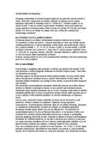 Referāts 'Zvaigznes un skaitļi', 1.