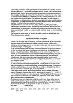 Referāts 'Zvaigznes un skaitļi', 8.