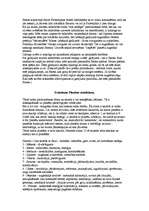 Referāts 'Zvaigznes un skaitļi', 28.