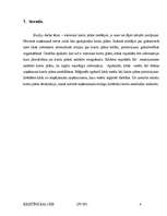 Referāts 'Grāmatvedības vienotais kontu plāns', 4.