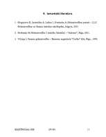 Referāts 'Grāmatvedības vienotais kontu plāns', 11.