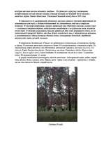 Konspekts 'Заповедник "Грини"', 3.