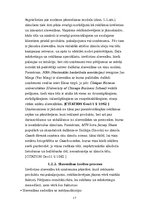 Referāts 'Patērētāju attieksme pret slavenu personību kā reklāmas seju izmantošanu zīmola ', 17.