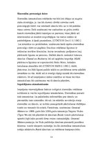 Referāts 'Patērētāju attieksme pret slavenu personību kā reklāmas seju izmantošanu zīmola ', 22.