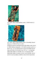 Referāts 'Patērētāju attieksme pret slavenu personību kā reklāmas seju izmantošanu zīmola ', 43.