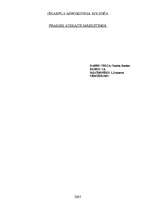 Referāts 'Mārketings lielveikalā Mego', 1.