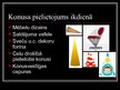 Prezentācija 'Konuss', 13.