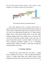 Referāts 'Gavrila Frolova dzimtas pētījums un atstāto kultūras vērtību mantojums vēsturisk', 21.