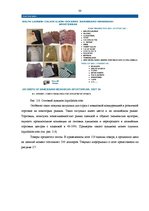 Diplomdarbs 'Исследование практического применения ценовой дискриминации в различных сферах э', 30.