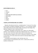 Konspekts 'Kārtainā rauga mīkla', 3.