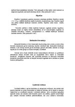 Konspekts 'Galvas smadzenes', 5.