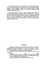 Konspekts 'Galvas smadzenes', 10.
