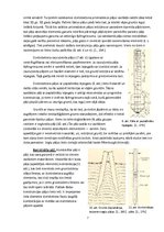Referāts 'Pāļu pamati', 7.